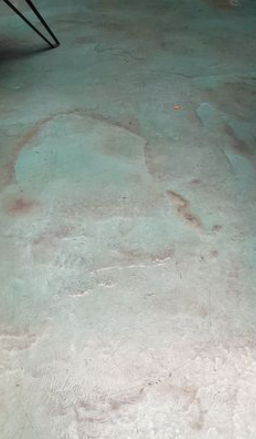 House of Marmorino Venetian Plaster image 4